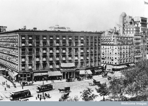 M0008502 Fifth Avenue Hotel, New York