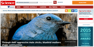 Captura de pantalla 2015-02-20 a les 1.44.23