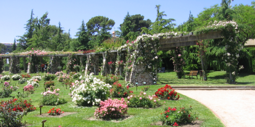 Captura de pantalla 2016-03-24 a les 15.35.36